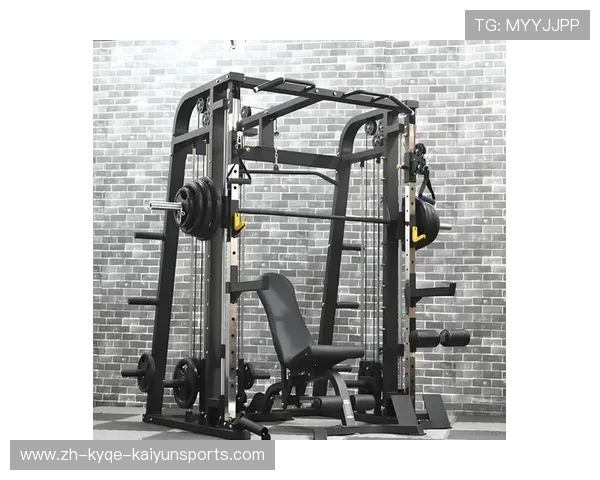 高效瘦腹健身器材推荐与使用指南